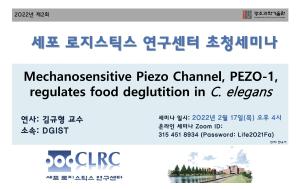 [22.02.17] DGIST 김규형 교수님 세미나 <Mechanosensitive Piezo Channel, PEZO-1, regulates food deglutition in C. elegans> 이미지
